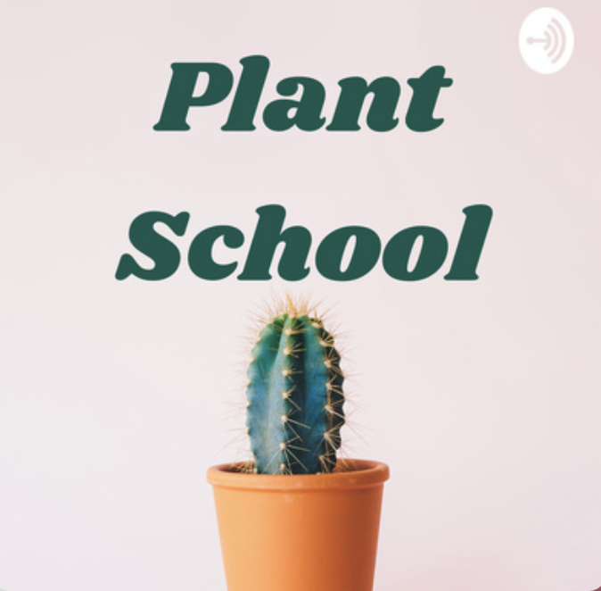 Pastel pink gradient background words plant school centered in green above a cactus in a clay pot